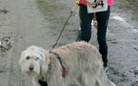 20120102Hondje