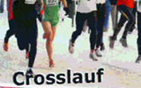 20120104Crosslauf