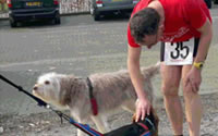 20120324VeenhuizenHonden