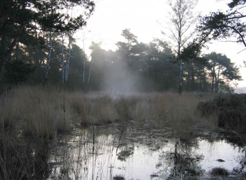 20120701BankloopVen