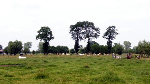 20160618EderveenPolder