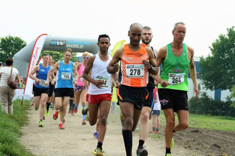 start_amerongen