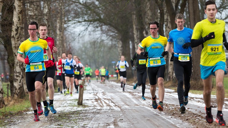 holterbergcros2017